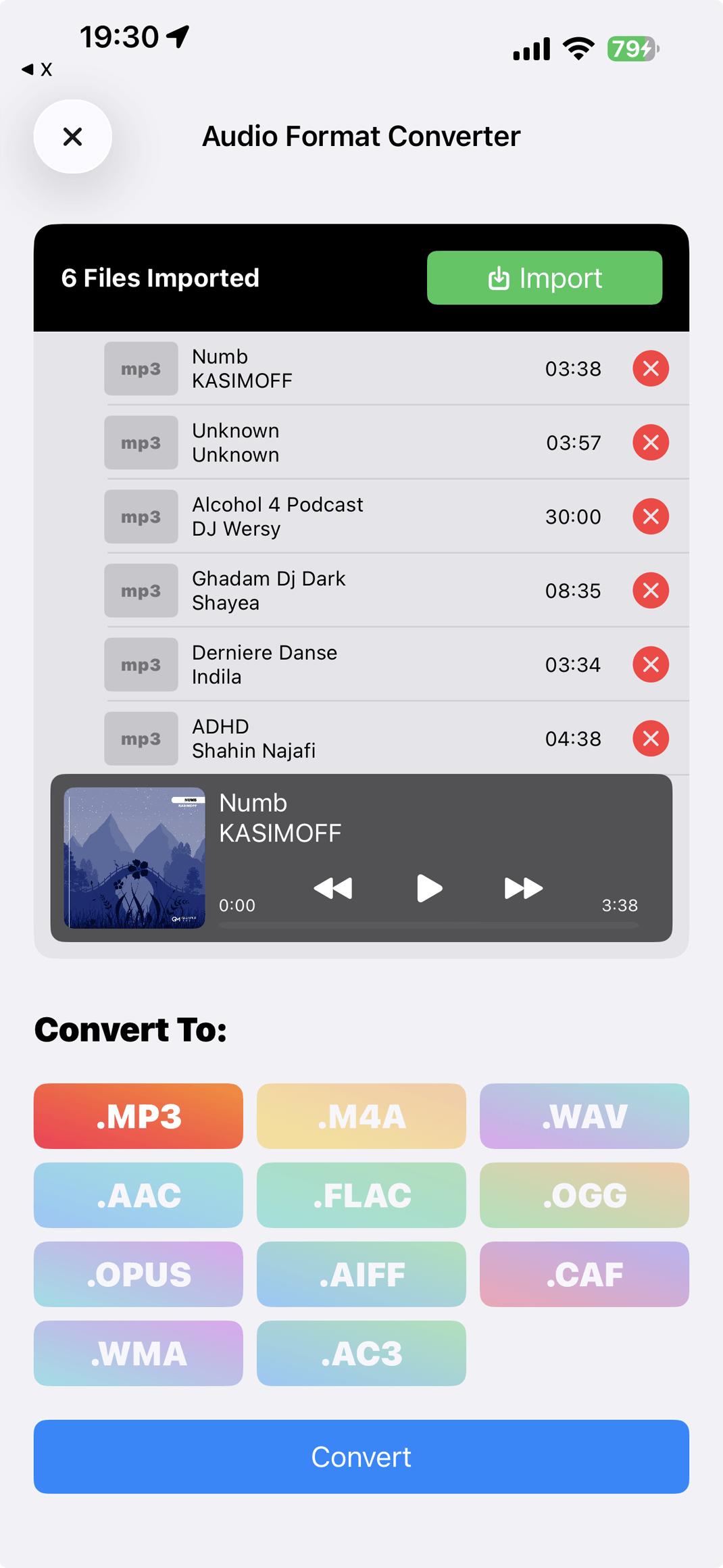 Music IR audio format converter screen